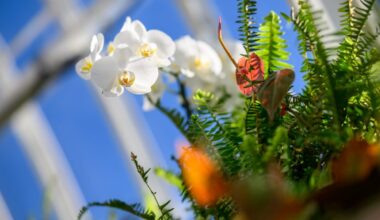 10+ things to do this weekend in Pittsburgh: Jan. 8-11