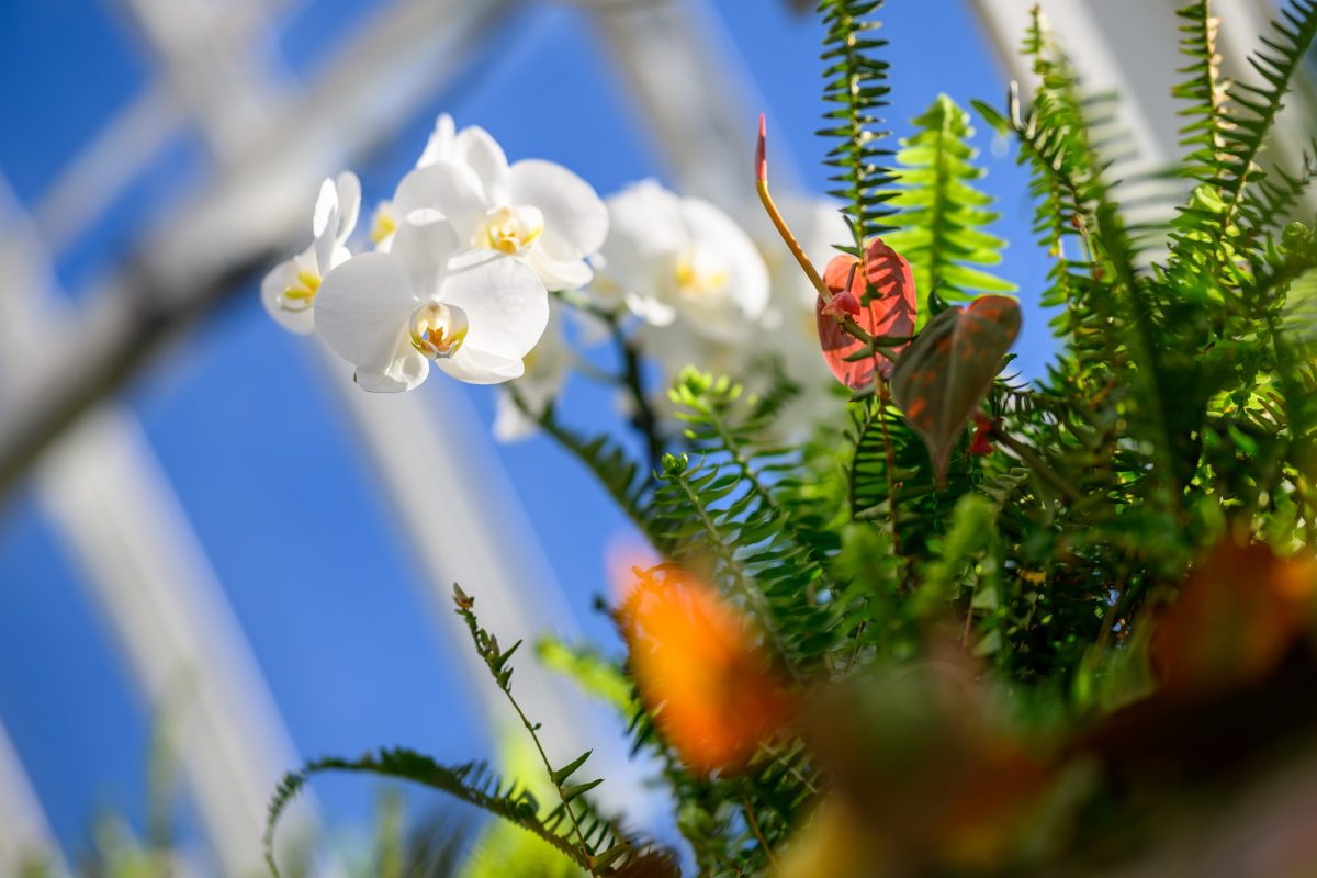 10+ things to do this weekend in Pittsburgh: Jan. 8-11