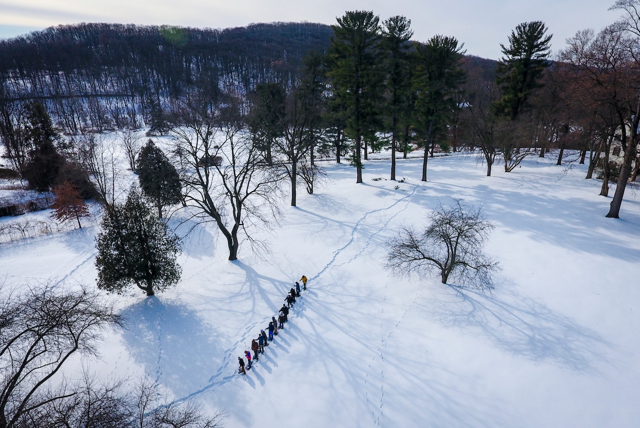 Taking in the winter scenery with snowshoes