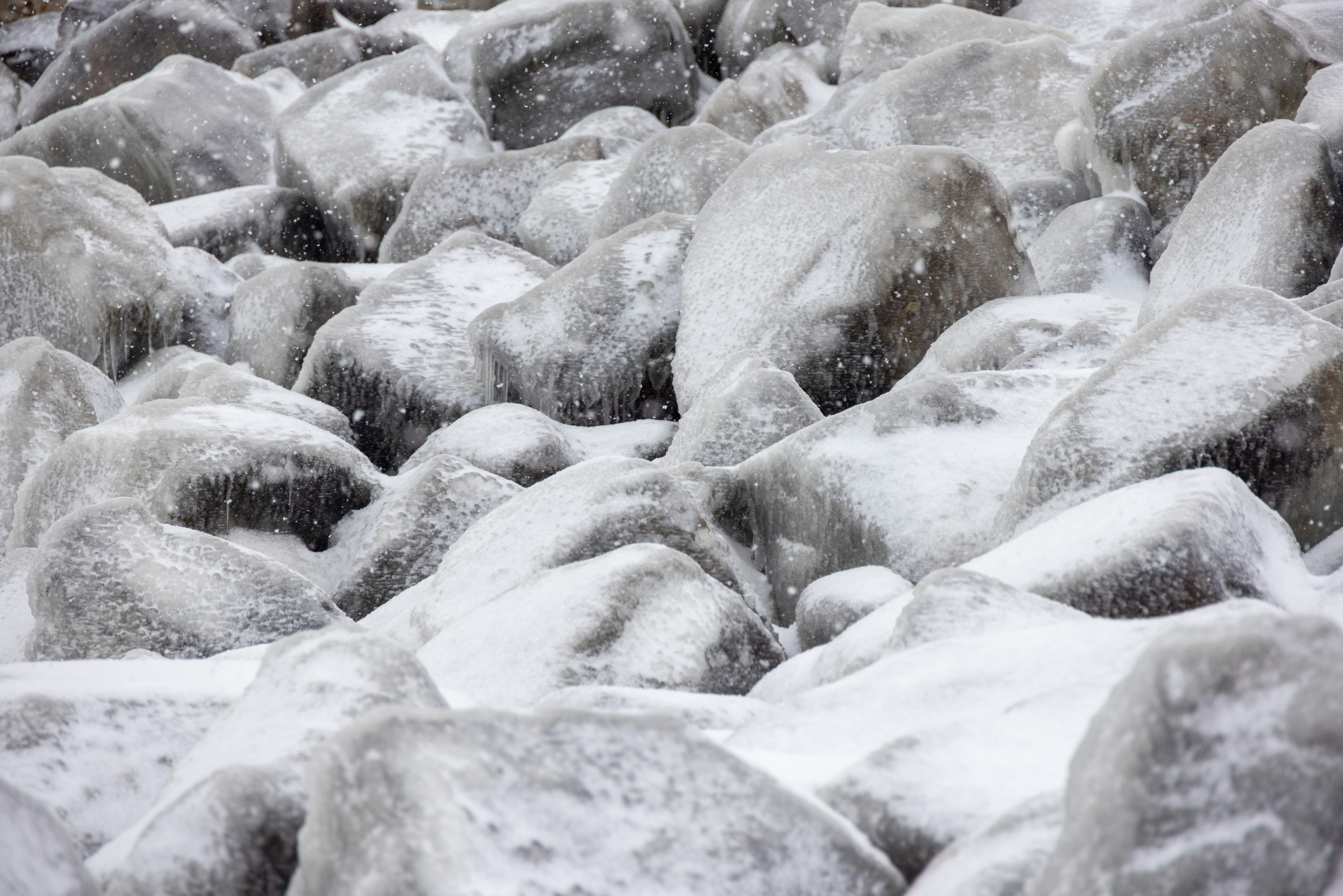 beautiful ice sculptures along the lake erie shoreline
