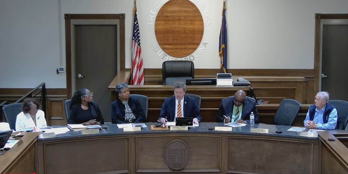 Laurens city council passes second reading of ordinance despite mayor’s opposition