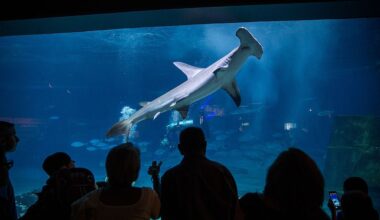 95.7 BEN FM Philadelphia