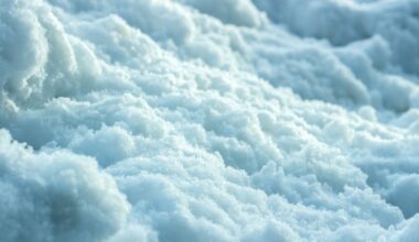 Bridgeville brings in heavy machinery to clear snowbanks