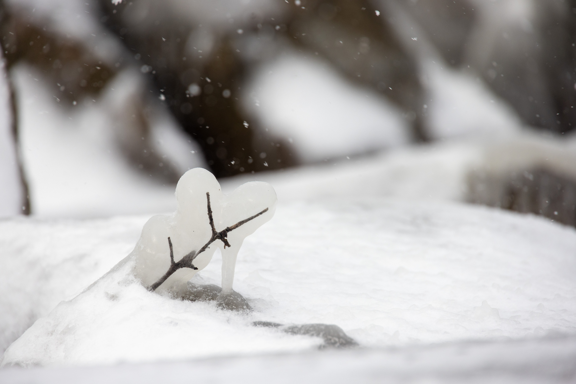 beautiful ice sculptures along the lake erie shoreline