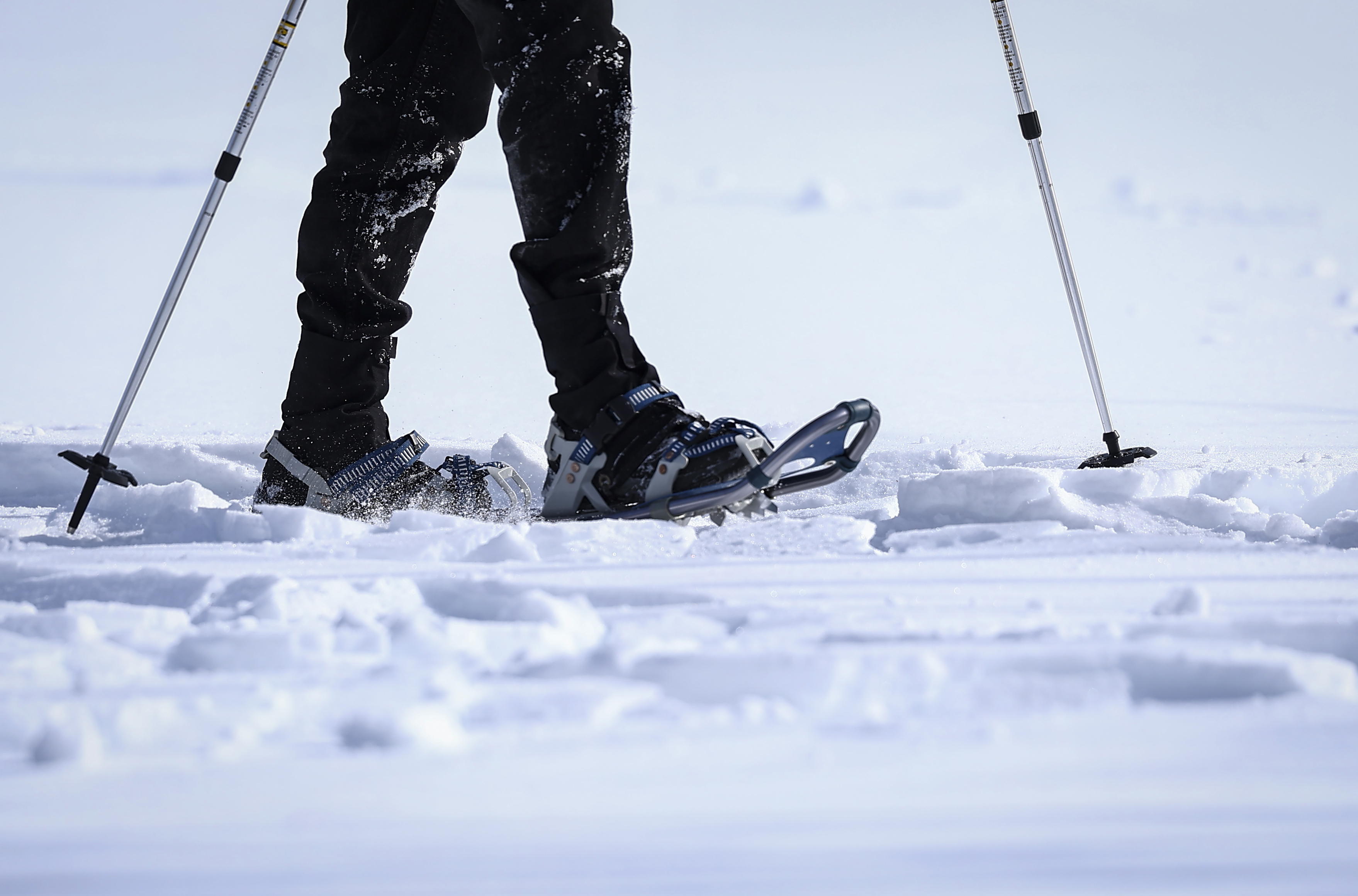 The Emmaus nonprofit Wildlands Conservancy leads a Winter Wildlife Snowshoe excursion Wednesday, Jan. 28, 2026, through Janet Johnston Housenick and William D. Housenick Memorial Park and Archibald Johnston Conservation Area in Bethlehem Township.