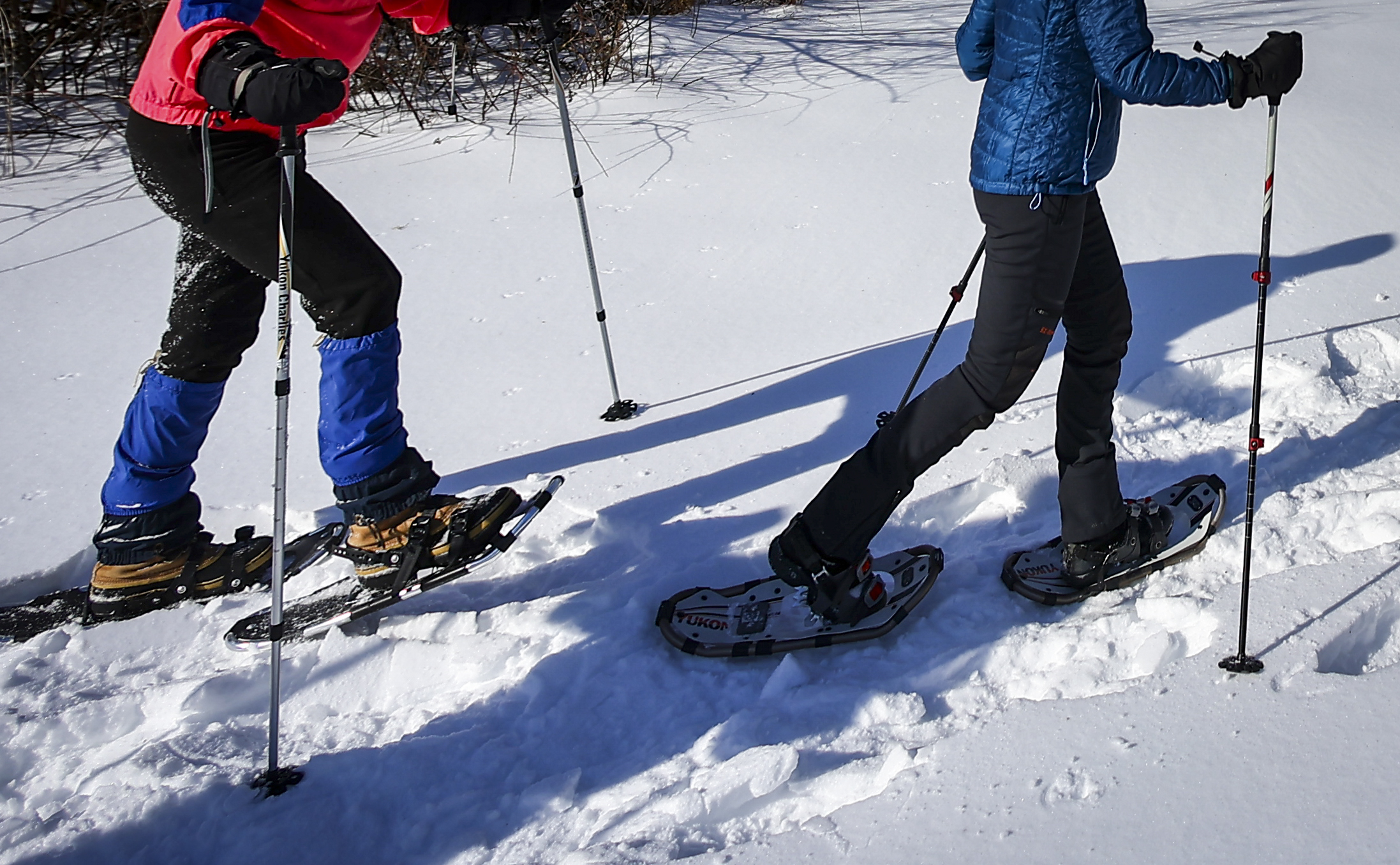 The Emmaus nonprofit Wildlands Conservancy leads a Winter Wildlife Snowshoe excursion Wednesday, Jan. 28, 2026, through Janet Johnston Housenick and William D. Housenick Memorial Park and Archibald Johnston Conservation Area in Bethlehem Township.
