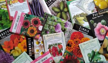 Berks Nature will host 2nd annual community seed swap