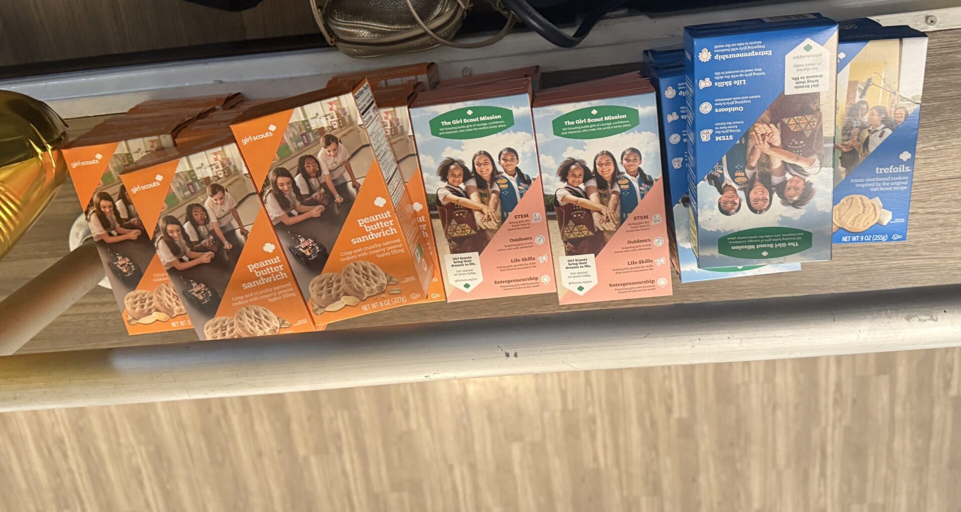 Girl Scouts of Eastern PA celebrate major 'Firstival' milestone