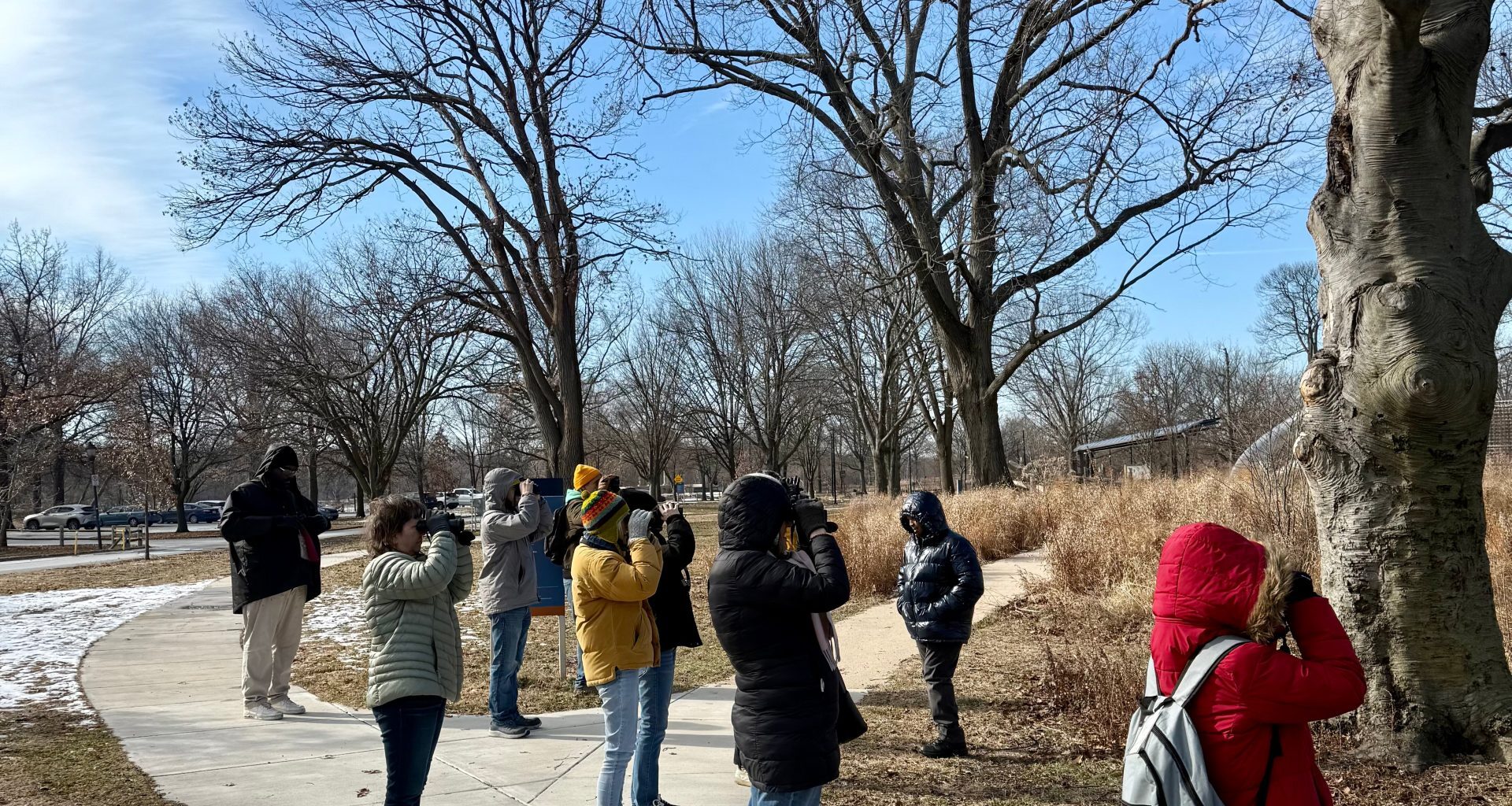 ‘Nature at Noon’ and other activities to get you outdoors this winter