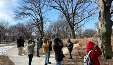 ‘Nature at Noon’ and other activities to get you outdoors this winter