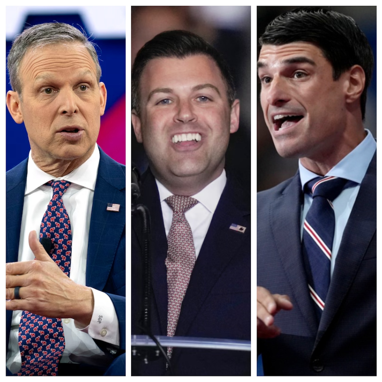 Swing seat Congressmen