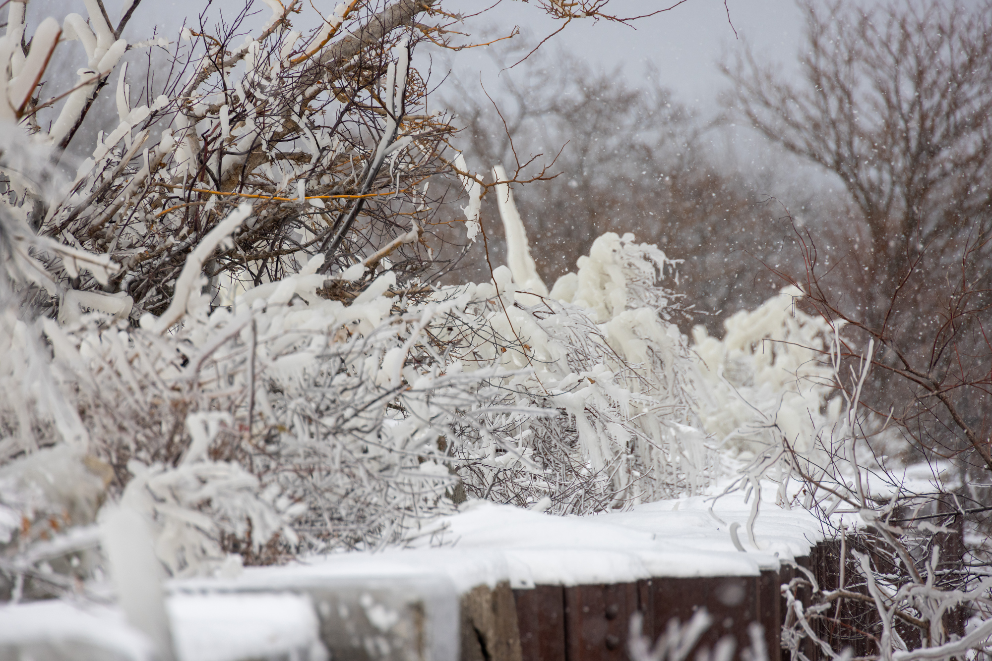 beautiful ice sculptures along the lake erie shoreline