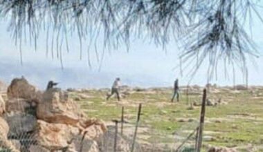 Israeli Colonizers Shoot a Child Near Bethlehem |