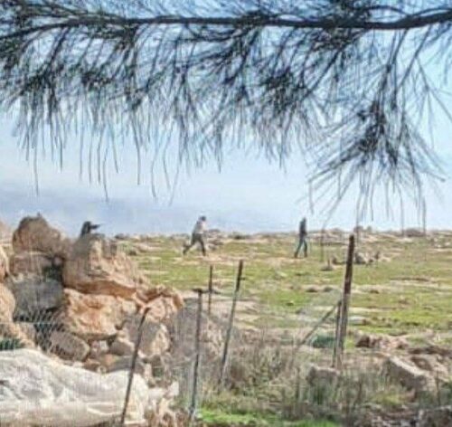 Israeli Colonizers Shoot a Child Near Bethlehem |