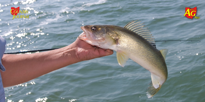 Nick Kocher of MKB Farms talks cattle and monoslope barn experience