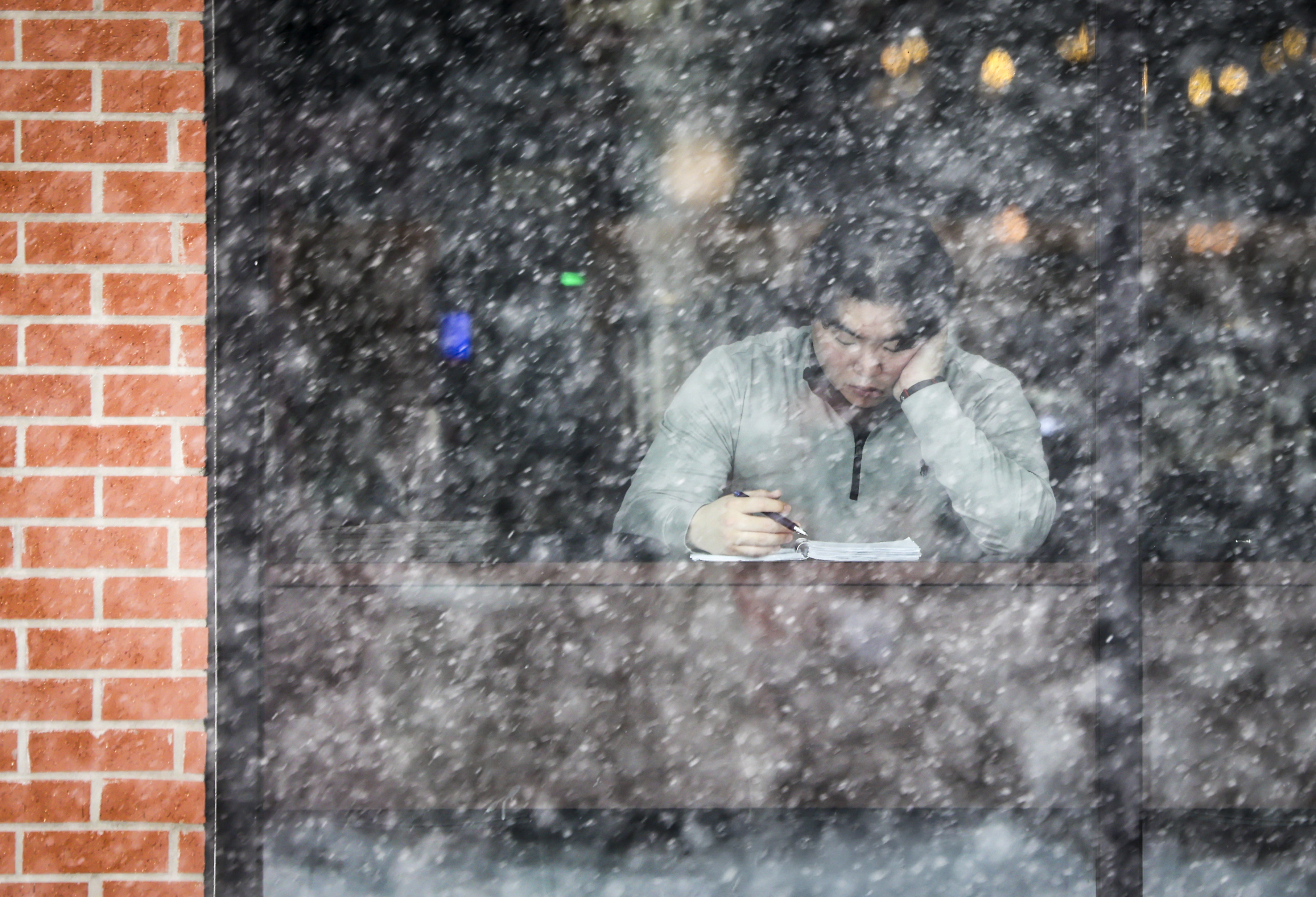 Alex Lee, of Easton, a pharmacy student, studies for a test from the warmth inside The Joint Coffee Co. in Easton on Sunday, Jan. 25, 2026.