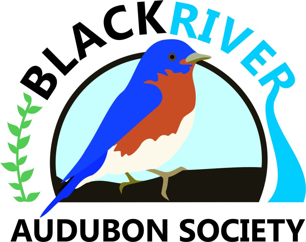 Lake Erie Birding Trail is topic of Black River Audubon Society program
