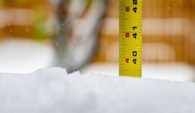 Goodbye to a dreary December in southeastern Pennsylvania