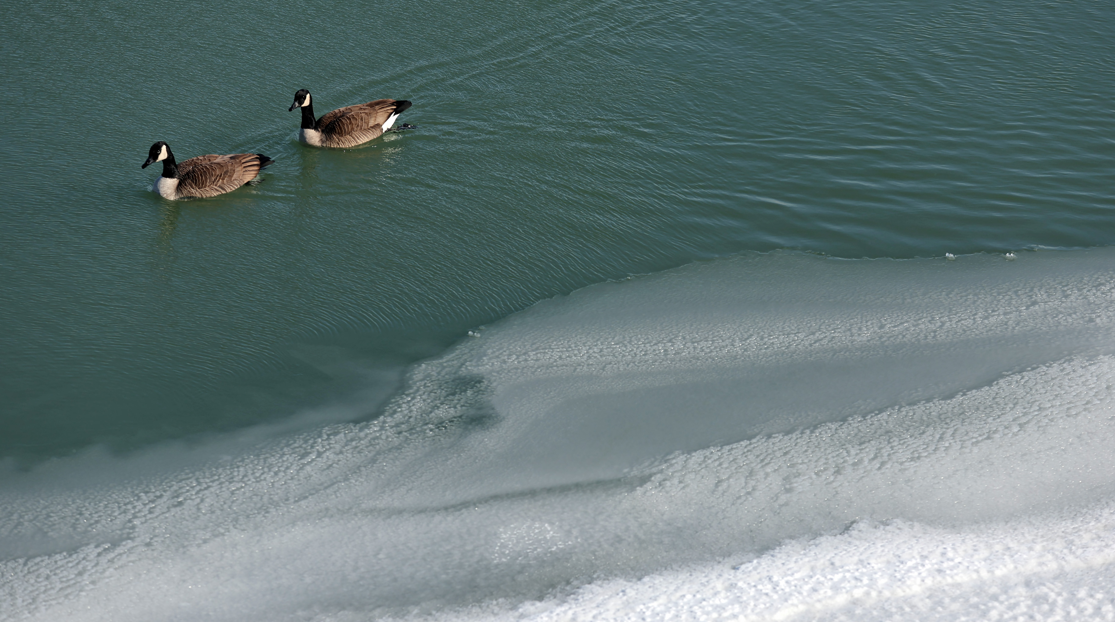 Winter ice formations along the shore of Lake Erie