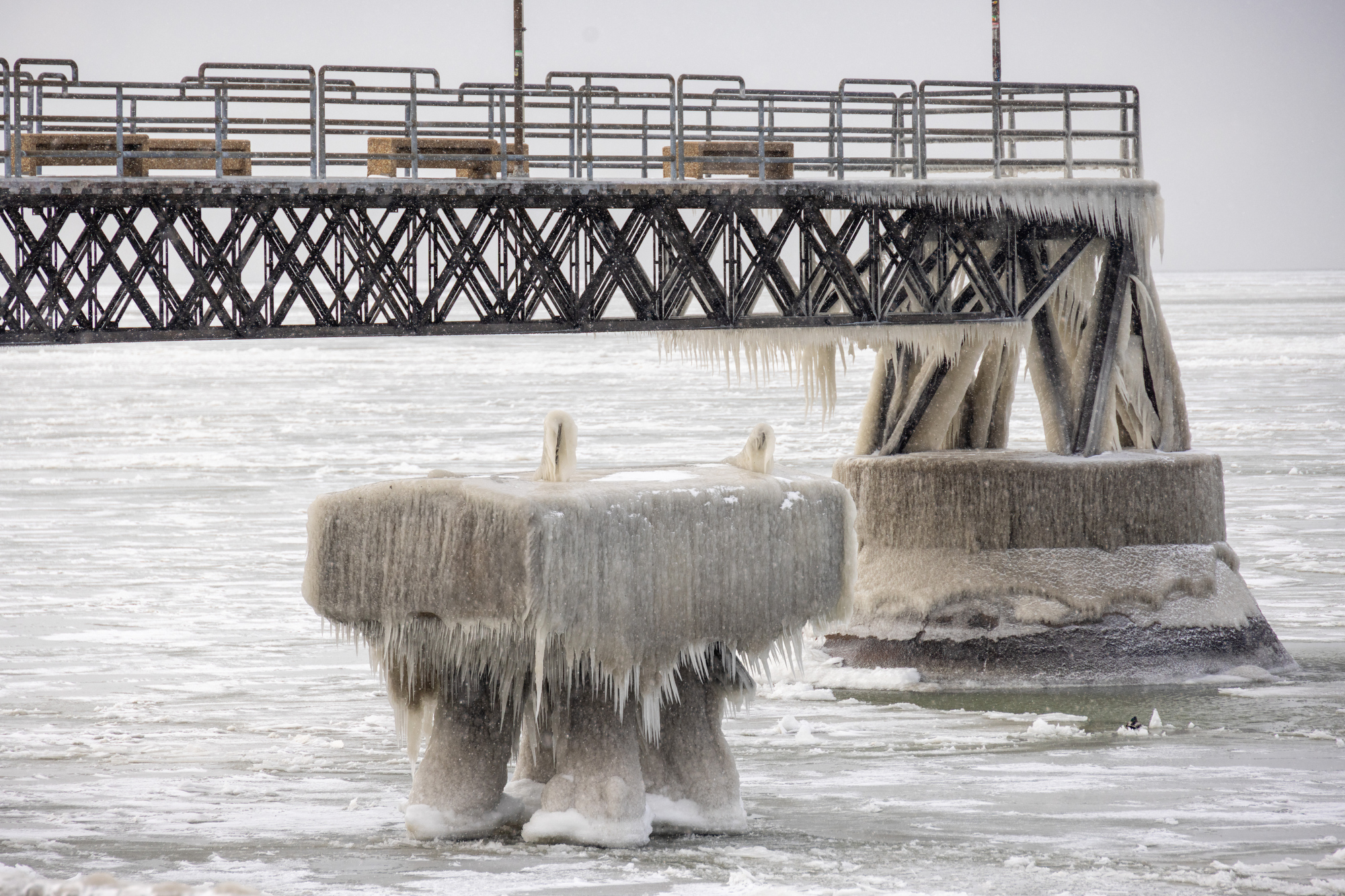 beautiful ice sculptures along the lake erie shoreline