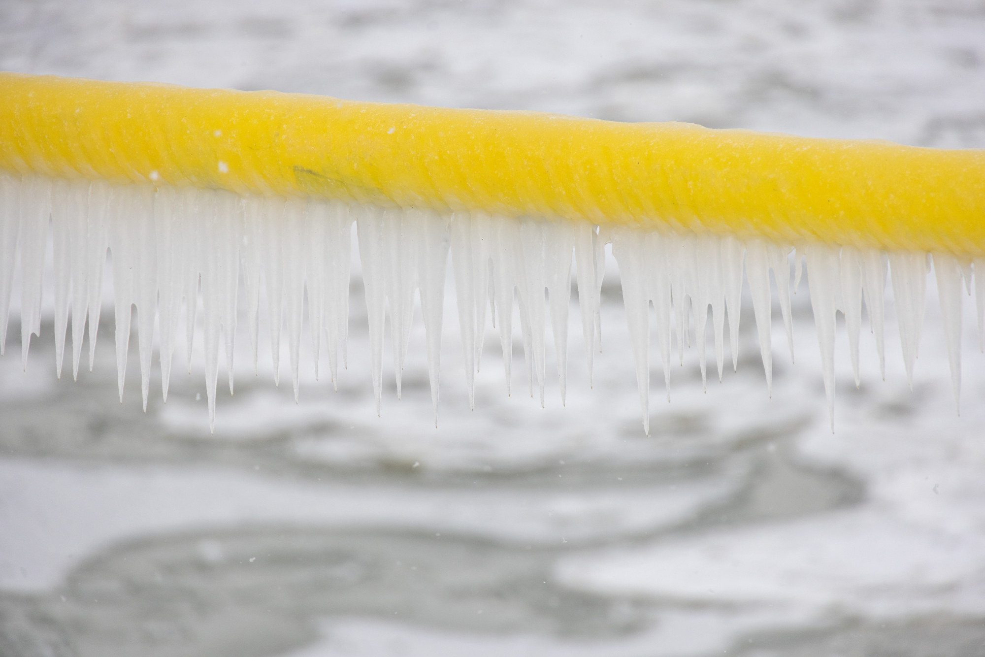 beautiful ice sculptures along the lake erie shoreline