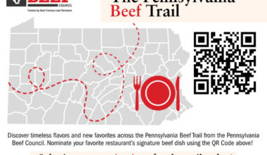 Pennsylvania Beef Council invites public to help shape the 2026 PA Beef Trail | News, Sports, Jobs