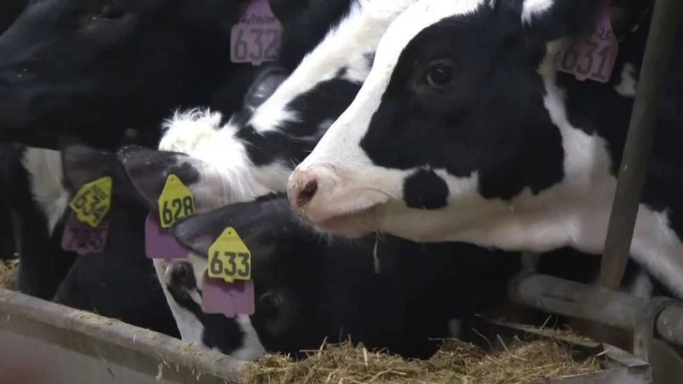 Pennsylvania Dairy Farmers Call for Over-Order Premium Reform