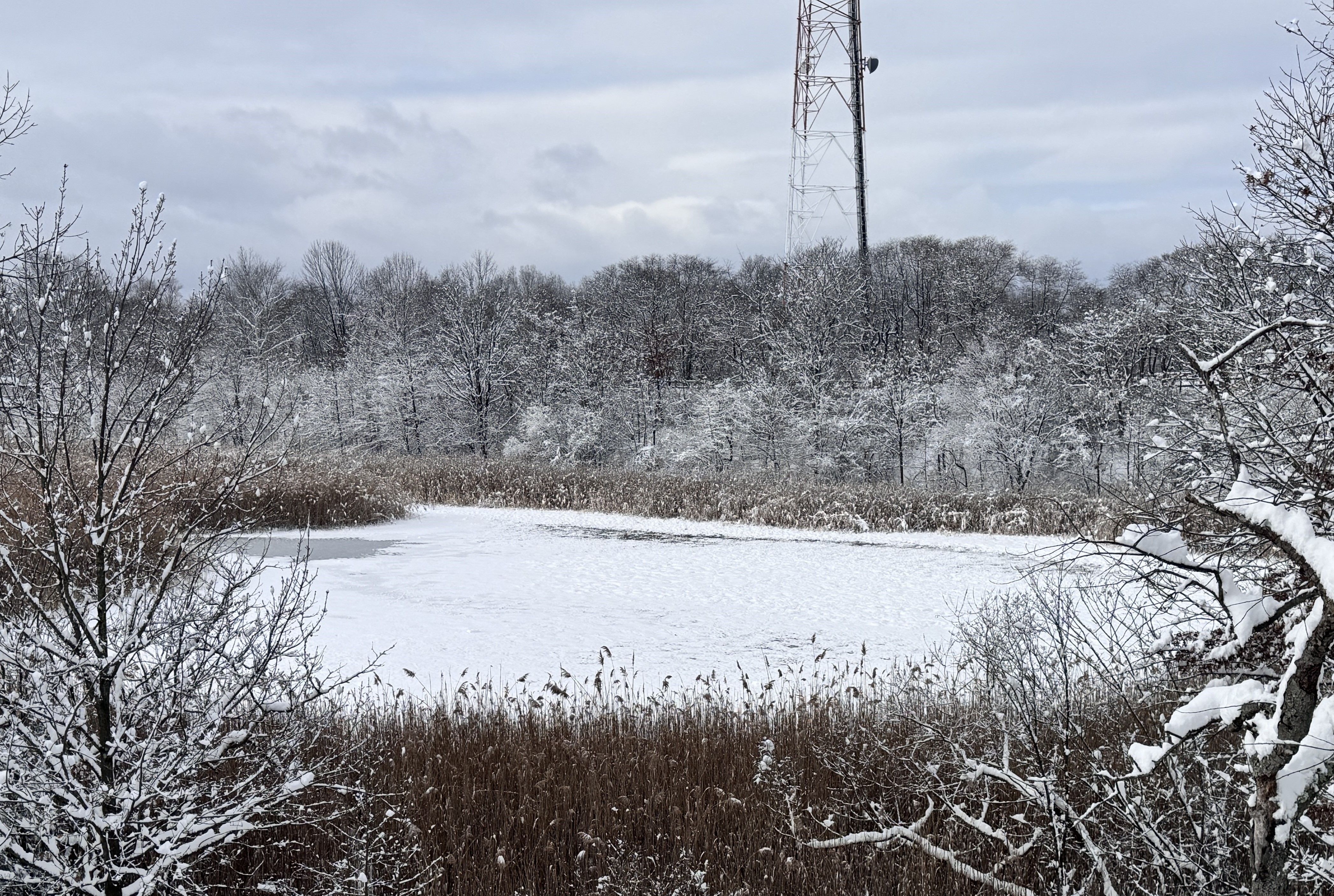 The Upper Roxborough Reservoir looked like a winter wonderland after...
