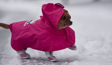 Code Blue for Reading in effect until at least Feb. 4