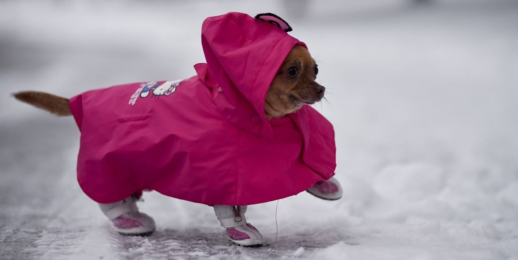 Code Blue for Reading in effect until at least Feb. 4