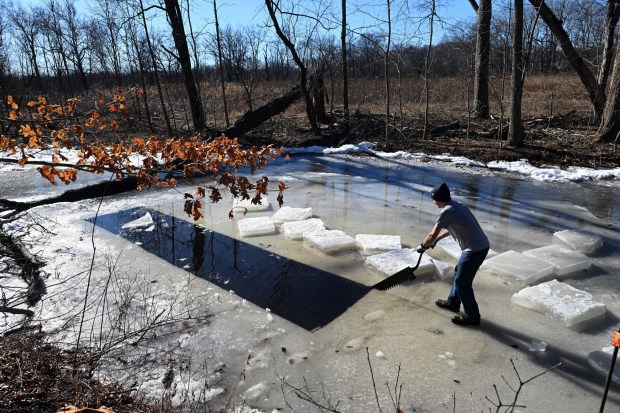 Brian Dreibelbis of Downingtown cuts blocks of ice with an ice saw from the ice pond during the Pennsylvania German ice harvesting demonstration at Dreibelbis Farm in Virginville on Saturday, Feb. 1, 2025. (BILL UHRICH/READING EAGLE)