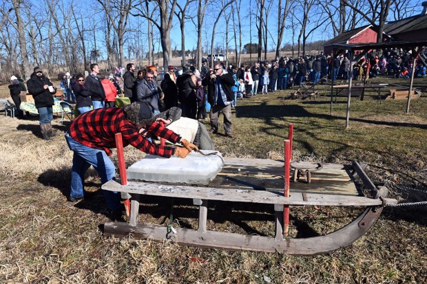 Ice is unloaded from the sled at the farm during the Pennsylvania German ice harvesting demonstration at Dreibelbis Farm in Virginville on Saturday, Feb. 1, 2025. (BILL UHRICH/READING EAGLE)