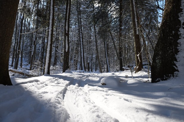 Consultants developing a plan to revitalize Cumru Township say the area's scenic beauty and access to recreational areas like Nolde Forest are selling points. (BILL UHRICH/READING EAGLE)