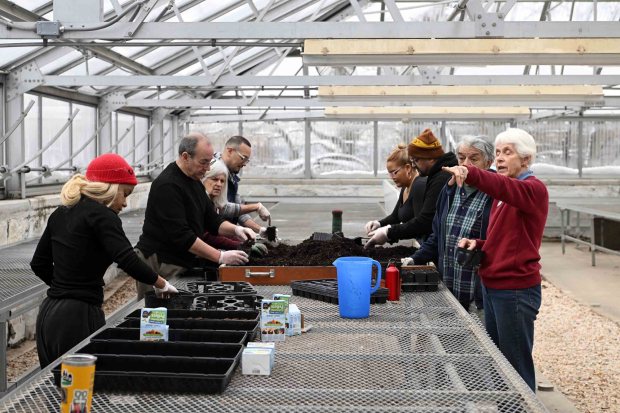 Community members plant seeds for city pollinator gardens at the City Park Greenhouse during a Martin Luther King Jr. Day of Service on Monday, Jan. 19, 2026. (BILL UHRICH/READING EAGLE)