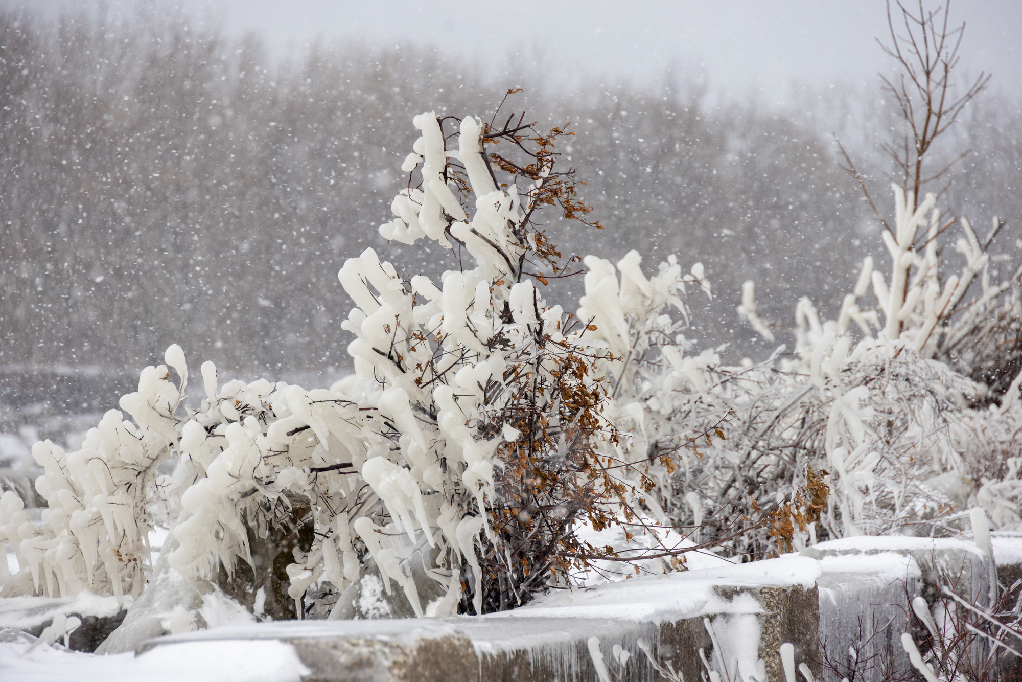 beautiful ice sculptures along the lake erie shoreline