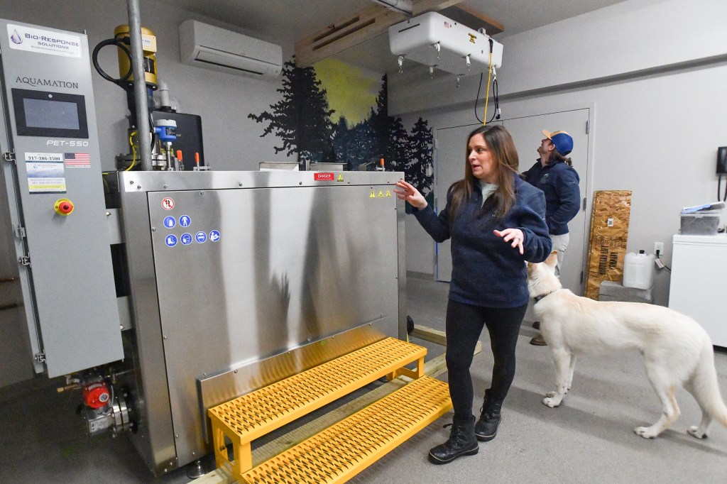 Death of dog provides inspiration for pet funeral services