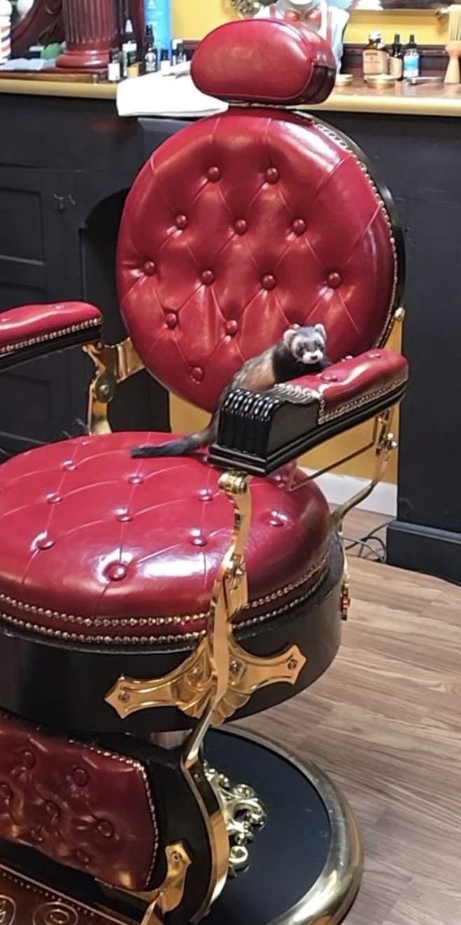 Jessup Giuseppe hangs out at the Three Saints Barber Shop...