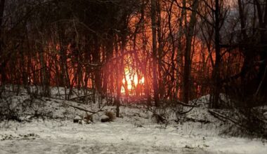 One displaced in early morning fire in Moosic – Scranton Times-Tribune