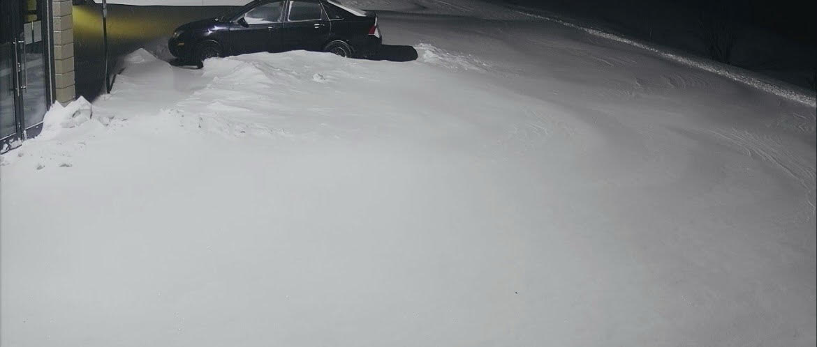 The parking lot at Griffin Pond Animal Shelter is covered...