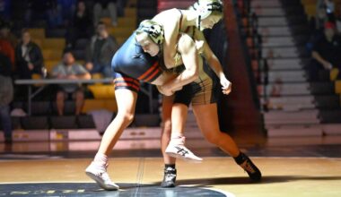 Wargo sisters boost Western Wayne – Scranton Times-Tribune