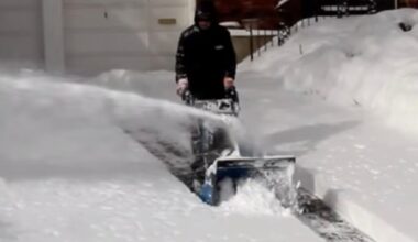 GreenPal app offers contact-free service