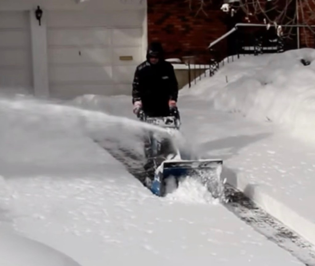 GreenPal app offers contact-free service