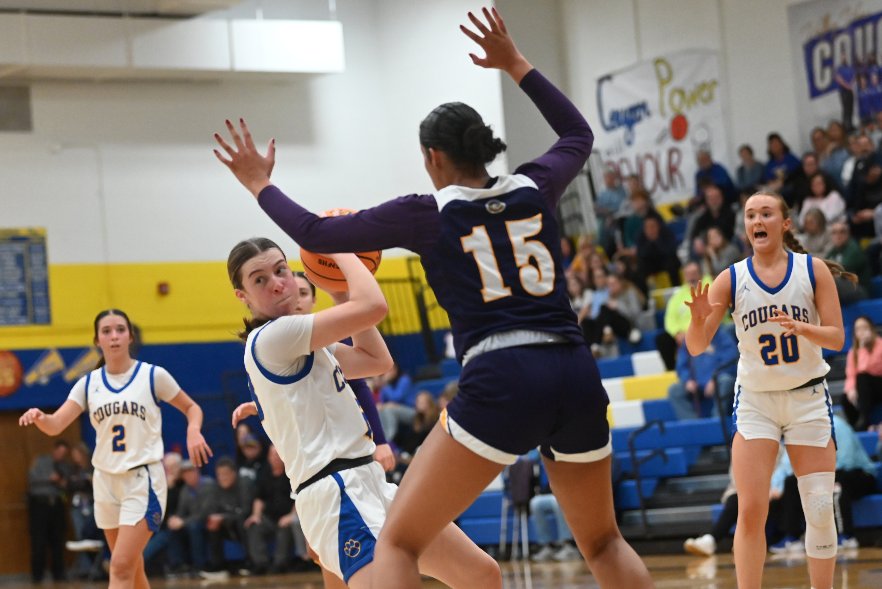 Scranton Prep’s Kamyl Lynady defends Valley View’s Ashlan Palickar during...