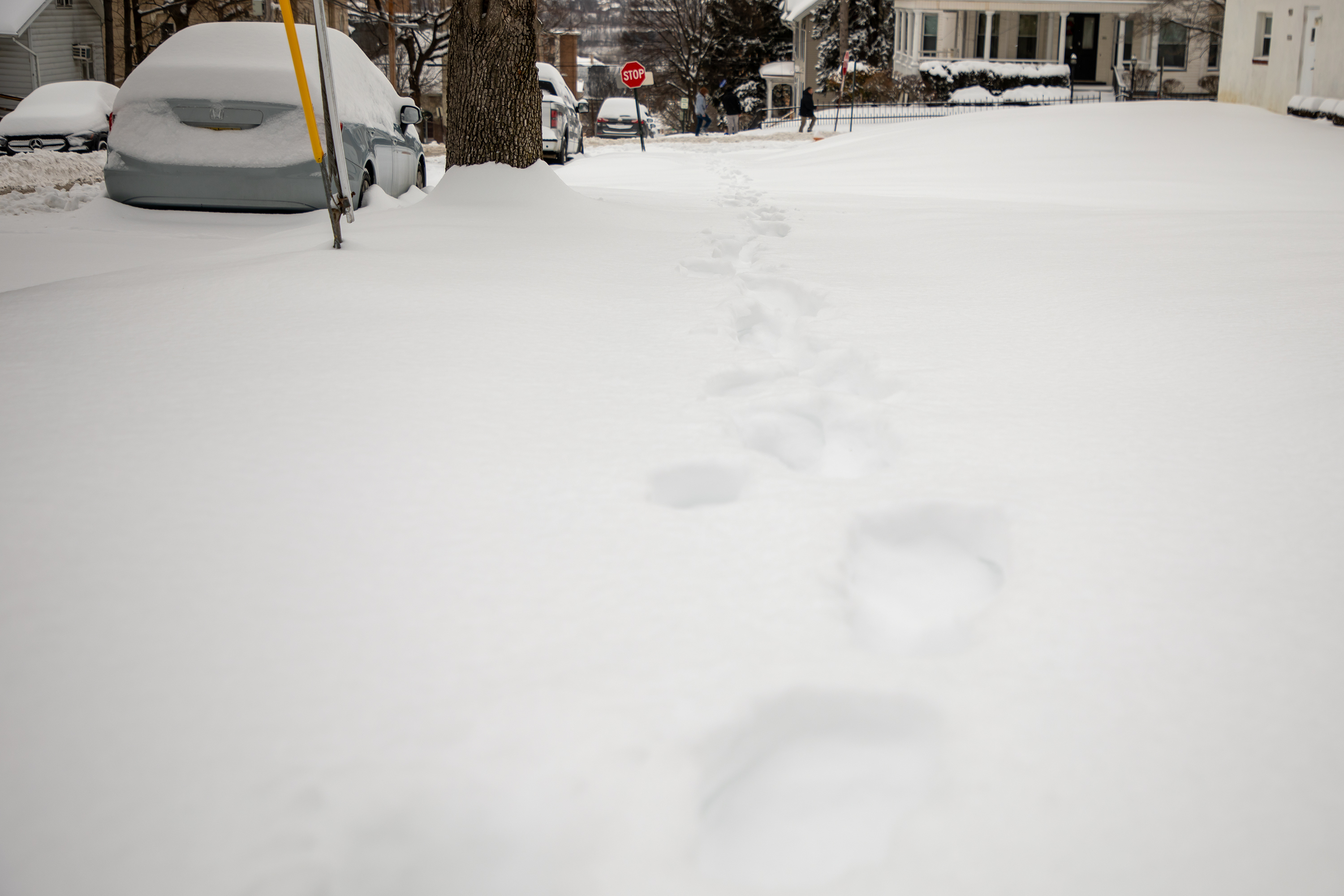 Footprints in a unplowed sidewalk near the corner of Vine...