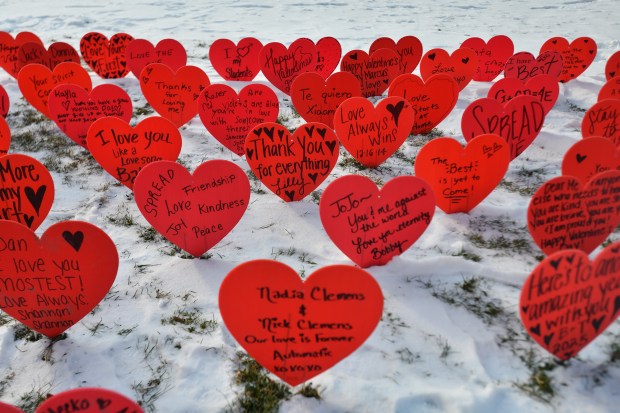 Hearts inscribed with names and messages for Valentines Day are installed by Scranton reisident Frank Dubas on the lawn area in front of the Everhart Museum in Scranton Thursday, January 22, 2026. (SEAN MCKEAG / STAFF PHOTOGRAPHER)