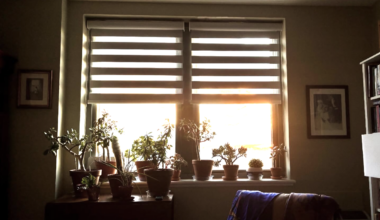 More ICE protests; 9-year-old CEO; "Seeking experienced witch"