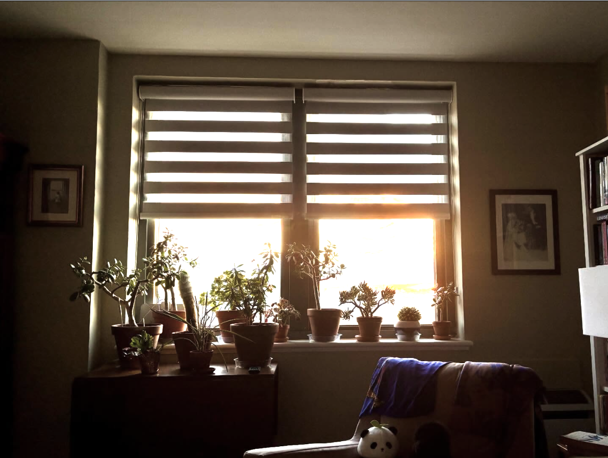 More ICE protests; 9-year-old CEO; "Seeking experienced witch"