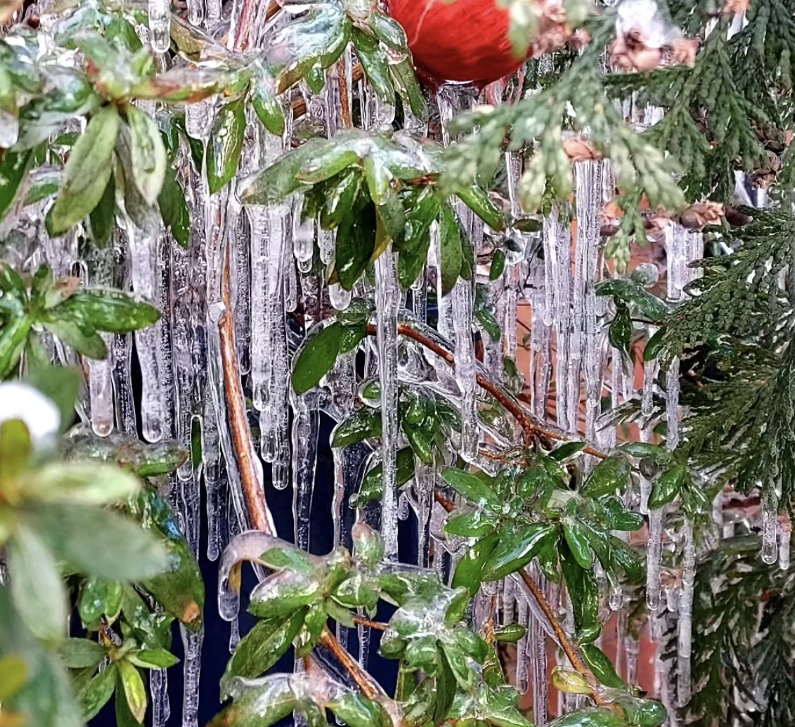 Snowy weekend; James Beard semifinalists; CHOP early intervention