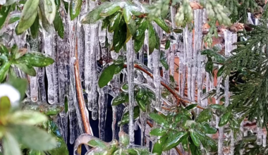 Snowy weekend; James Beard semifinalists; CHOP early intervention