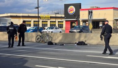 Bicyclist who died in Route 145 crash in Whitehall identified